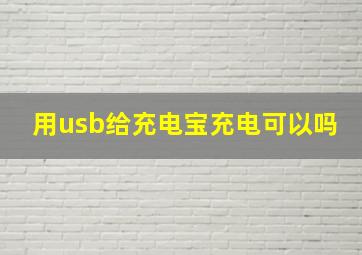 用usb给充电宝充电可以吗