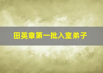 田英章第一批入室弟子