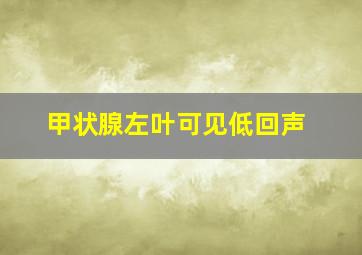 甲状腺左叶可见低回声