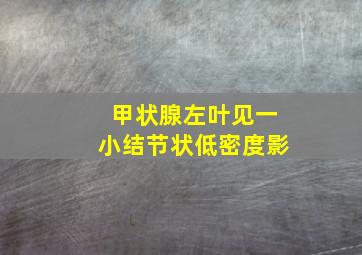 甲状腺左叶见一小结节状低密度影