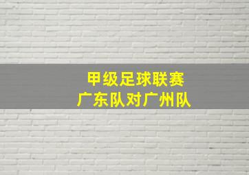 甲级足球联赛广东队对广州队