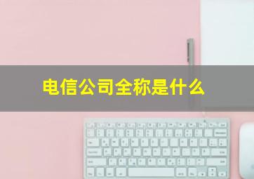 电信公司全称是什么