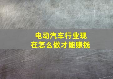 电动汽车行业现在怎么做才能赚钱