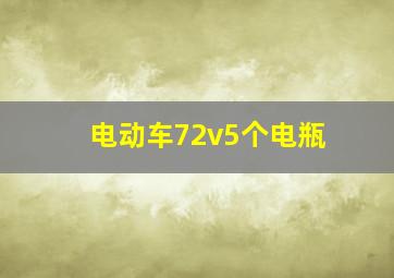 电动车72v5个电瓶