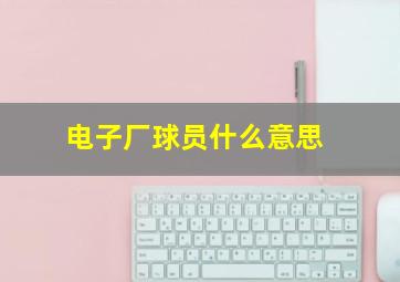 电子厂球员什么意思