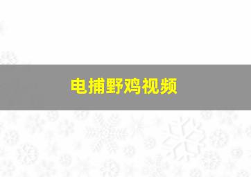 电捕野鸡视频