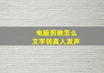 电脑剪映怎么文字转真人发声