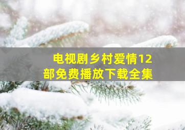 电视剧乡村爱情12部免费播放下载全集