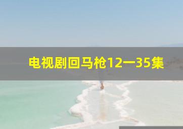 电视剧回马枪12一35集