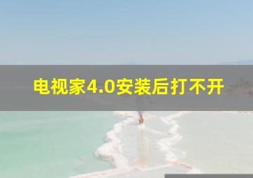 电视家4.0安装后打不开