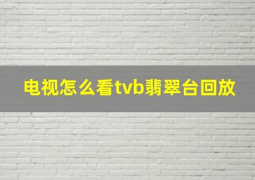 电视怎么看tvb翡翠台回放