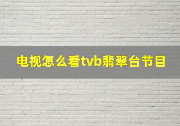 电视怎么看tvb翡翠台节目