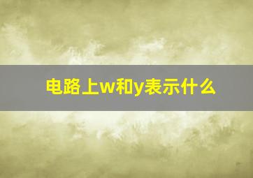 电路上w和y表示什么