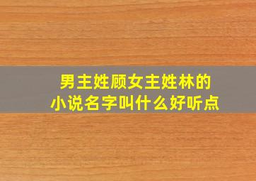 男主姓顾女主姓林的小说名字叫什么好听点