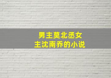 男主莫北丞女主沈南乔的小说