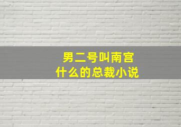 男二号叫南宫什么的总裁小说