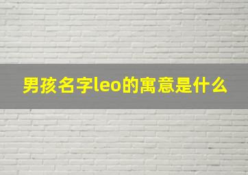 男孩名字leo的寓意是什么