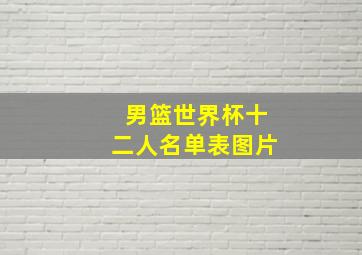 男篮世界杯十二人名单表图片