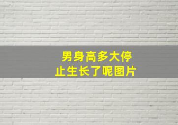 男身高多大停止生长了呢图片