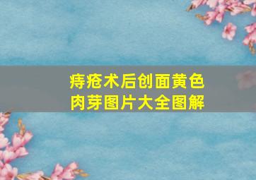 痔疮术后创面黄色肉芽图片大全图解