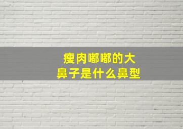 瘦肉嘟嘟的大鼻子是什么鼻型