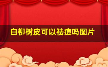 白柳树皮可以祛痘吗图片