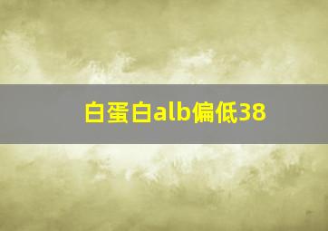 白蛋白alb偏低38