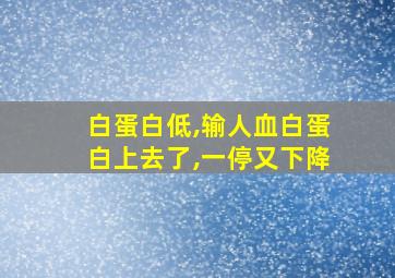 白蛋白低,输人血白蛋白上去了,一停又下降