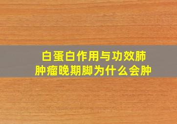 白蛋白作用与功效肺肿瘤晚期脚为什么会肿