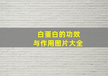 白蛋白的功效与作用图片大全