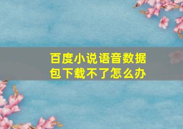 百度小说语音数据包下载不了怎么办