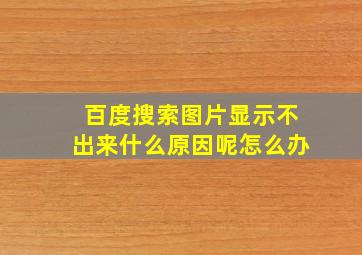 百度搜索图片显示不出来什么原因呢怎么办