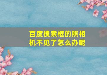 百度搜索框的照相机不见了怎么办呢