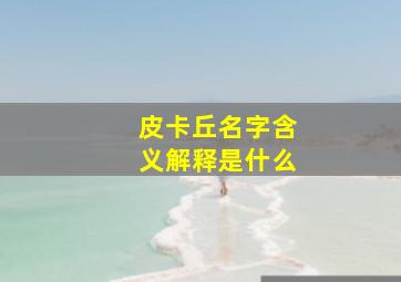 皮卡丘名字含义解释是什么