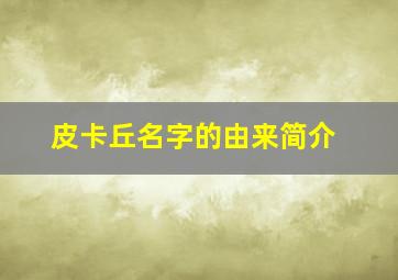 皮卡丘名字的由来简介