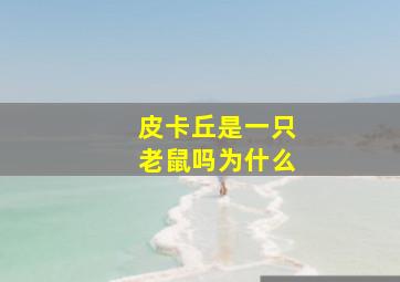 皮卡丘是一只老鼠吗为什么