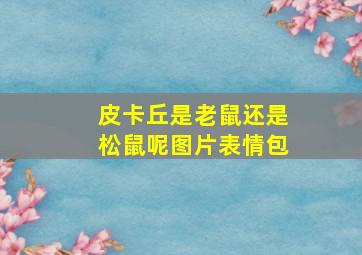 皮卡丘是老鼠还是松鼠呢图片表情包