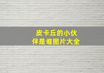 皮卡丘的小伙伴是谁图片大全