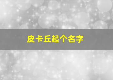 皮卡丘起个名字