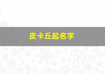 皮卡丘起名字