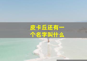 皮卡丘还有一个名字叫什么