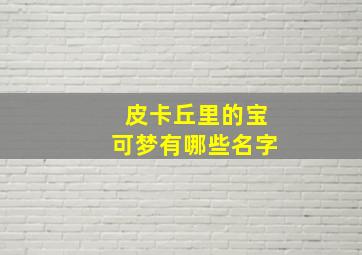 皮卡丘里的宝可梦有哪些名字