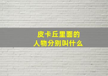 皮卡丘里面的人物分别叫什么