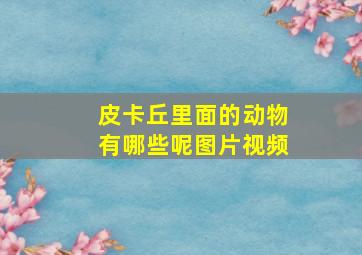 皮卡丘里面的动物有哪些呢图片视频