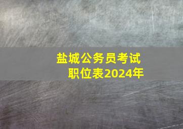 盐城公务员考试职位表2024年