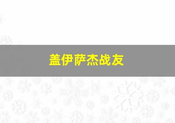 盖伊萨杰战友