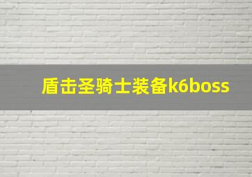 盾击圣骑士装备k6boss