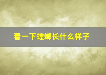 看一下螳螂长什么样子