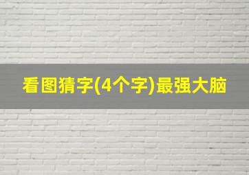 看图猜字(4个字)最强大脑