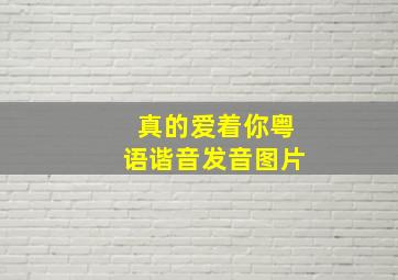 真的爱着你粤语谐音发音图片